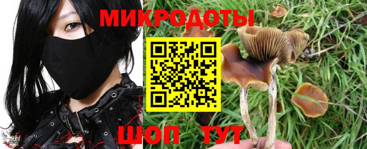 Псилоцибиновые грибы GOLDEN TEACHER  Вход с VPN  Салават 